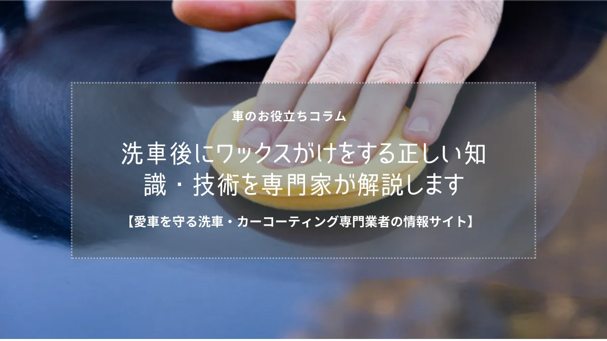 洗車後にワックスがけをする正しい知識・技術を専門家が解説します