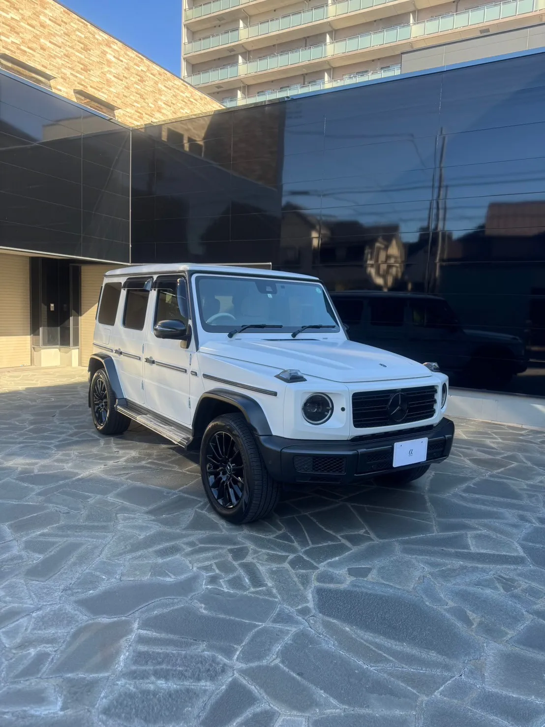 リアビューとロゴ