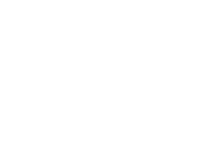 TEAM HERMANOSロゴ