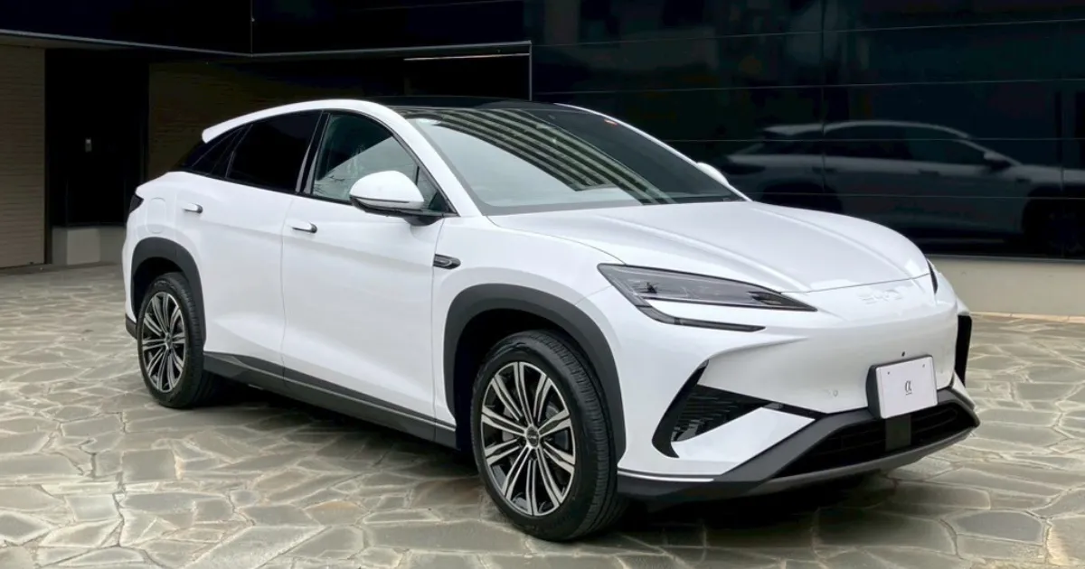 BYD シールの施工事例